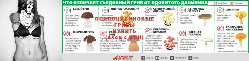 ОМГ ОМГ рабочий сайт  Красный Сулин  Галлюциногенные грибы мухоморы 